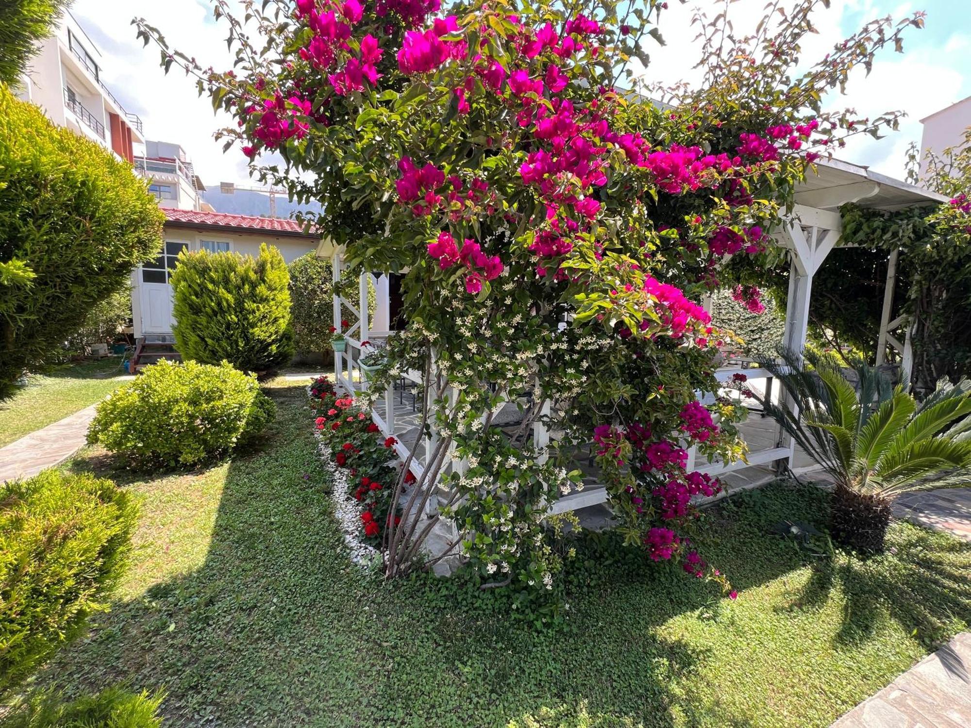 Nili Hotel Vlorë 外观 照片